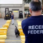 Receita Federal faz alerta sobre envio de caixas dos EUA para o Brasil e destaca riscos de apreensão por falta de documentação